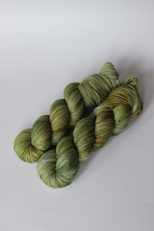 White Ducks - DK